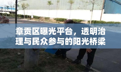 章貢區(qū)曝光平臺，透明治理與民眾參與的陽光橋梁