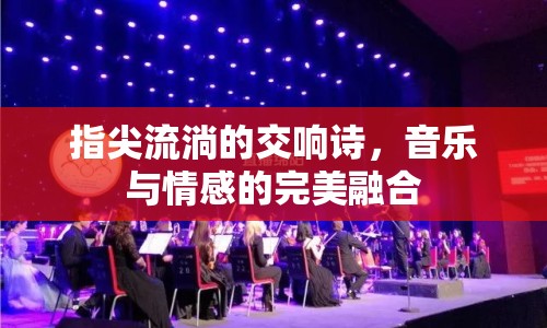 指尖流淌的交響詩，音樂與情感的完美融合