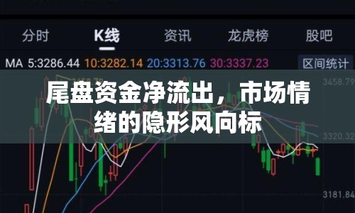 尾盤(pán)資金凈流出，市場(chǎng)情緒的隱形風(fēng)向標(biāo)