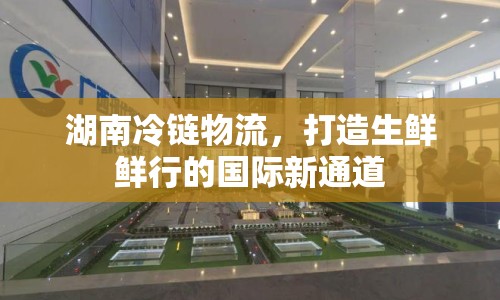 湖南冷鏈物流，打造生鮮鮮行的國(guó)際新通道