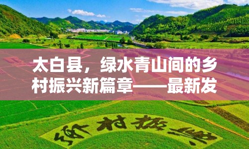 太白縣，綠水青山間的鄉(xiāng)村振興新篇章——最新發(fā)展動(dòng)態(tài)與未來展望