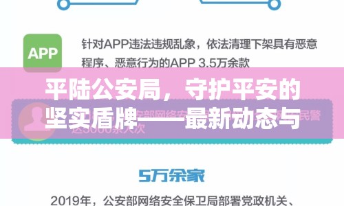 平陸公安局，守護平安的堅實盾牌——最新動態(tài)與成效概覽