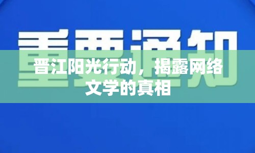 晉江陽(yáng)光行動(dòng)，揭露網(wǎng)絡(luò)文學(xué)的真相