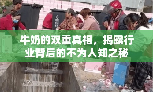 牛奶的雙重真相，揭露行業(yè)背后的不為人知之秘
