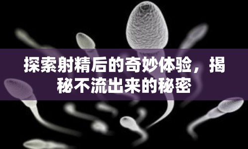 探索射精后的奇妙體驗(yàn)，揭秘不流出來的秘密