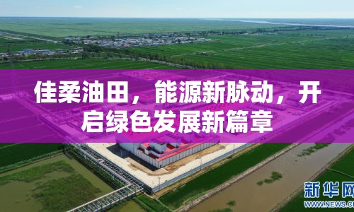佳柔油田，能源新脈動，開啟綠色發(fā)展新篇章