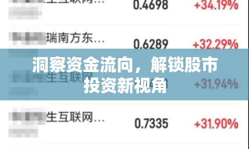 洞察資金流向，解鎖股市投資新視角