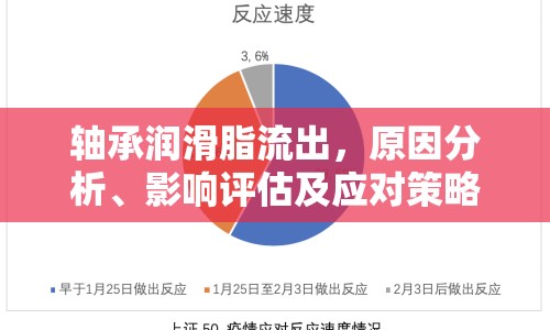 軸承潤滑脂流出，原因分析、影響評估及應對策略