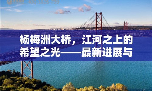 楊梅洲大橋，江河之上的希望之光——最新進(jìn)展與未來(lái)展望