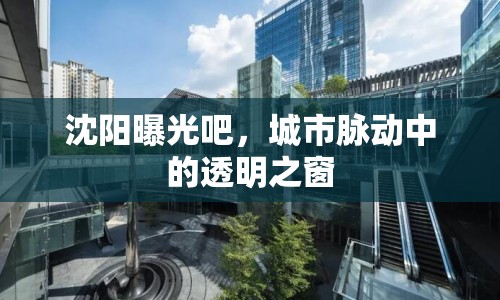 沈陽曝光吧，城市脈動中的透明之窗