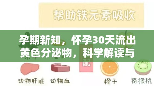 孕期新知，懷孕30天流出黃色分泌物，科學(xué)解讀與應(yīng)對(duì)策略