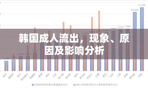 韓國成人流出，現(xiàn)象、原因及影響分析