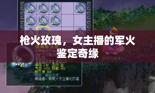 槍火玫瑰，女主播的軍火鑒定奇緣
