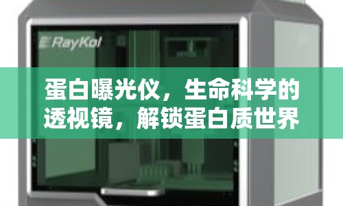 蛋白曝光儀，生命科學(xué)的透視鏡，解鎖蛋白質(zhì)世界的秘密