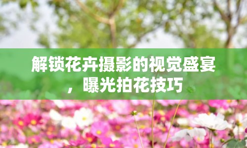 解鎖花卉攝影的視覺(jué)盛宴，曝光拍花技巧