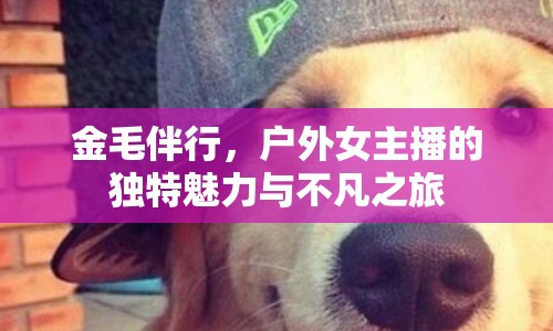 金毛伴行，戶外女主播的獨特魅力與不凡之旅