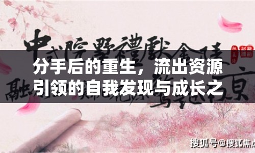 分手后的重生，流出資源引領(lǐng)的自我發(fā)現(xiàn)與成長之旅