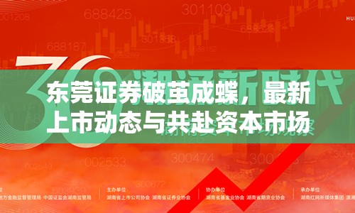 東莞證券破繭成蝶，最新上市動(dòng)態(tài)與共赴資本市場(chǎng)新征程