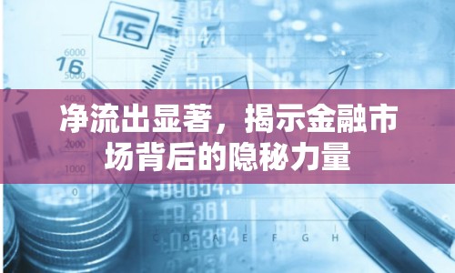 凈流出顯著，揭示金融市場(chǎng)背后的隱秘力量