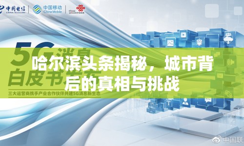 哈爾濱頭條揭秘，城市背后的真相與挑戰(zhàn)
