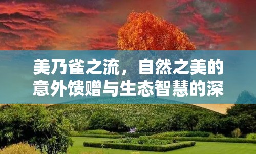 美乃雀之流，自然之美的意外饋贈與生態(tài)智慧的深刻啟示