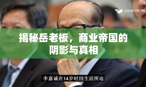 揭秘岳老板，商業(yè)帝國的陰影與真相