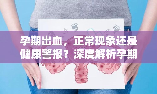 孕期出血，正常現(xiàn)象還是健康警報？深度解析孕期健康問題
