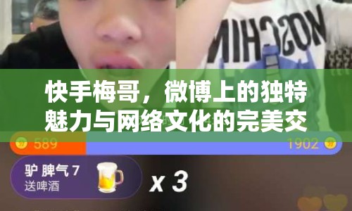 快手梅哥，微博上的獨(dú)特魅力與網(wǎng)絡(luò)文化的完美交融