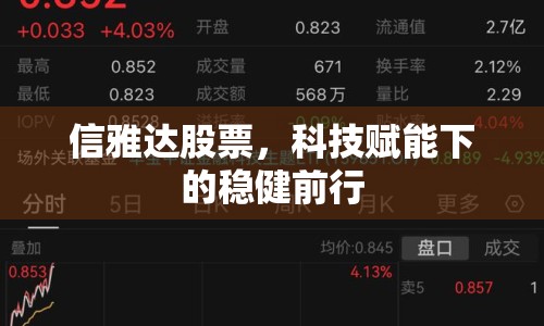 信雅達股票，科技賦能下的穩(wěn)健前行