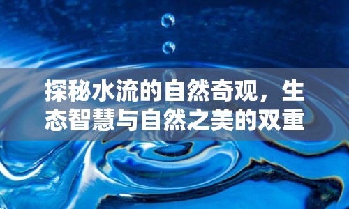 探秘水流的自然奇觀，生態(tài)智慧與自然之美的雙重奏響