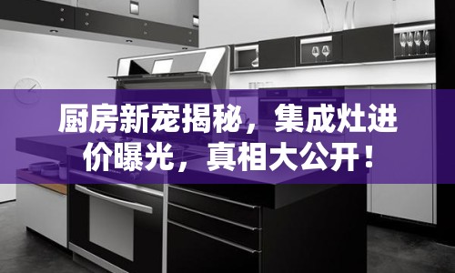 廚房新寵揭秘，集成灶進價曝光，真相大公開！