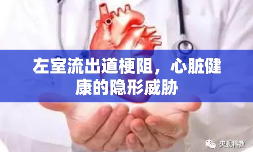 左室流出道梗阻，心臟健康的隱形威脅