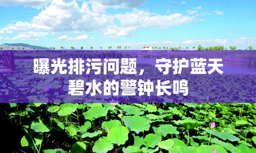 曝光排污問(wèn)題，守護(hù)藍(lán)天碧水的警鐘長(zhǎng)鳴