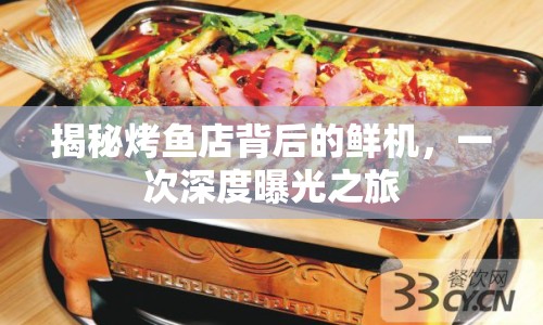 揭秘烤魚店背后的鮮機(jī)，一次深度曝光之旅