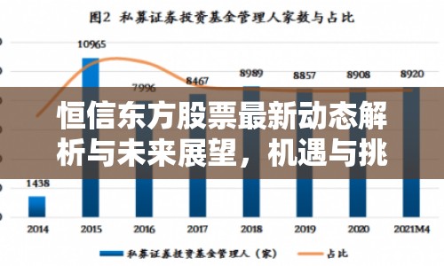 恒信東方股票最新動態(tài)解析與未來展望，機遇與挑戰(zhàn)并存