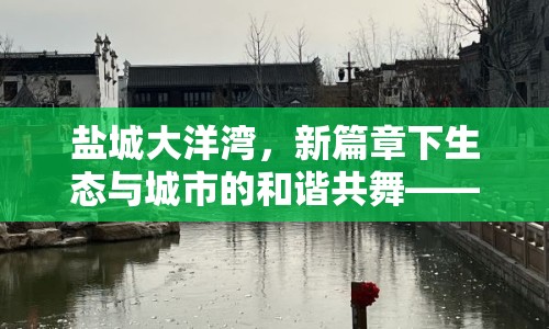 鹽城大洋灣，新篇章下生態(tài)與城市的和諧共舞——最新發(fā)展動態(tài)全面解析