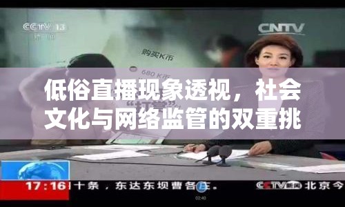 低俗直播現(xiàn)象透視，社會(huì)文化與網(wǎng)絡(luò)監(jiān)管的雙重挑戰(zhàn)