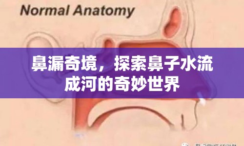 鼻漏奇境，探索鼻子水流成河的奇妙世界
