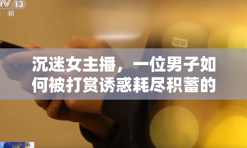 沉迷女主播，一位男子如何被打賞誘惑耗盡積蓄的深度剖析