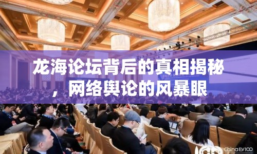 龍海論壇背后的真相揭秘，網(wǎng)絡(luò)輿論的風(fēng)暴眼