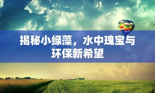揭秘小綠藻，水中瑰寶與環(huán)保新希望