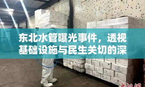 東北水管曝光事件，透視基礎(chǔ)設(shè)施與民生關(guān)切的深度挑戰(zhàn)