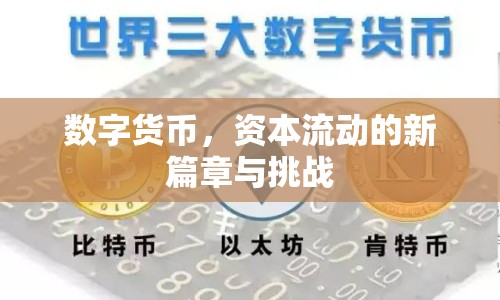 數(shù)字貨幣，資本流動的新篇章與挑戰(zhàn)
