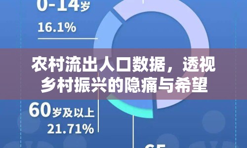 農(nóng)村流出人口數(shù)據(jù)，透視鄉(xiāng)村振興的隱痛與希望