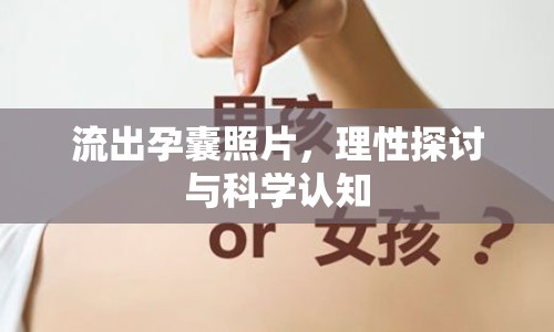 流出孕囊照片，理性探討與科學認知