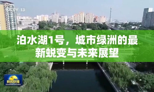 泊水湖1號，城市綠洲的最新蛻變與未來展望