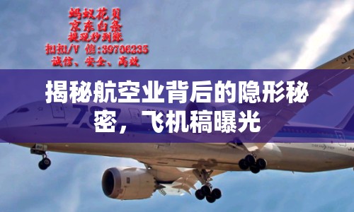 揭秘航空業(yè)背后的隱形秘密，飛機(jī)稿曝光