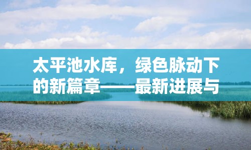 太平池水庫，綠色脈動(dòng)下的新篇章——最新進(jìn)展與生態(tài)保護(hù)探索