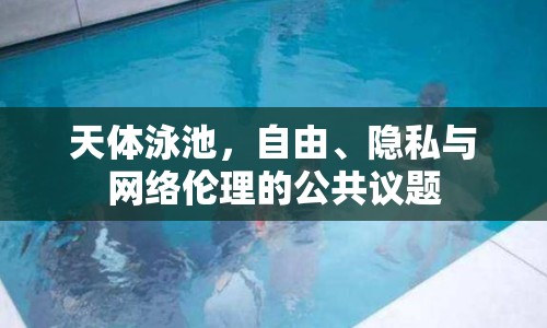 天體泳池，自由、隱私與網(wǎng)絡(luò)倫理的公共議題