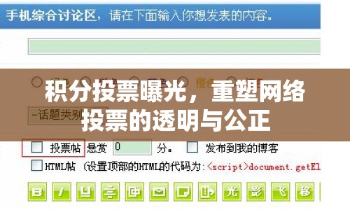 積分投票曝光，重塑網(wǎng)絡(luò)投票的透明與公正